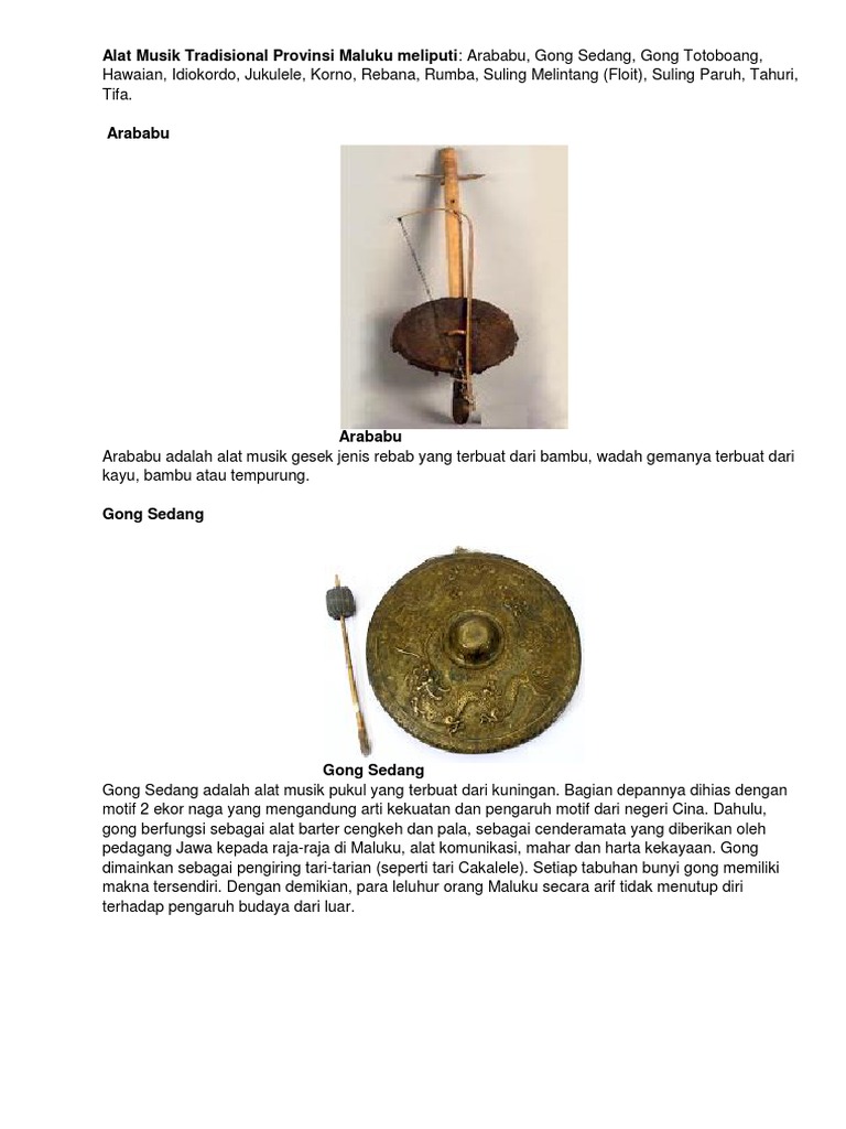 Alat Musik Tradisional Provinsi Maluku Meliputi | PDF | Seni