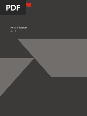 18 Annual Report E Pdf International Financial Reporting Standards Dividend