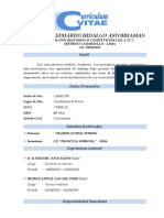 CURRICULUM VITAE DE 3 SOLES Yerson