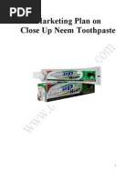 Download Closeup Marketing Plan by koptar SN44689944 doc pdf