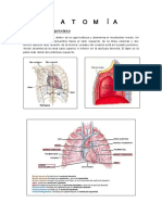 CARDIO ANATOMÍA