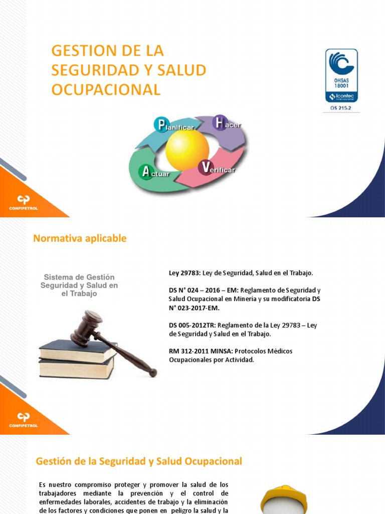 Gestión de La Seguridad y Salud Ocupacional | PDF | Seguridad y salud ...