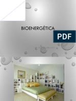 Bioenergética