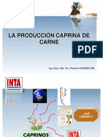 000010_Programa de carne caprina (INTA) .pdf