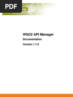 API Manager 170 PDF