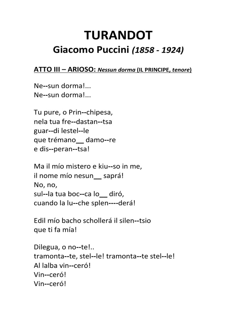 nessun dorma lyrics