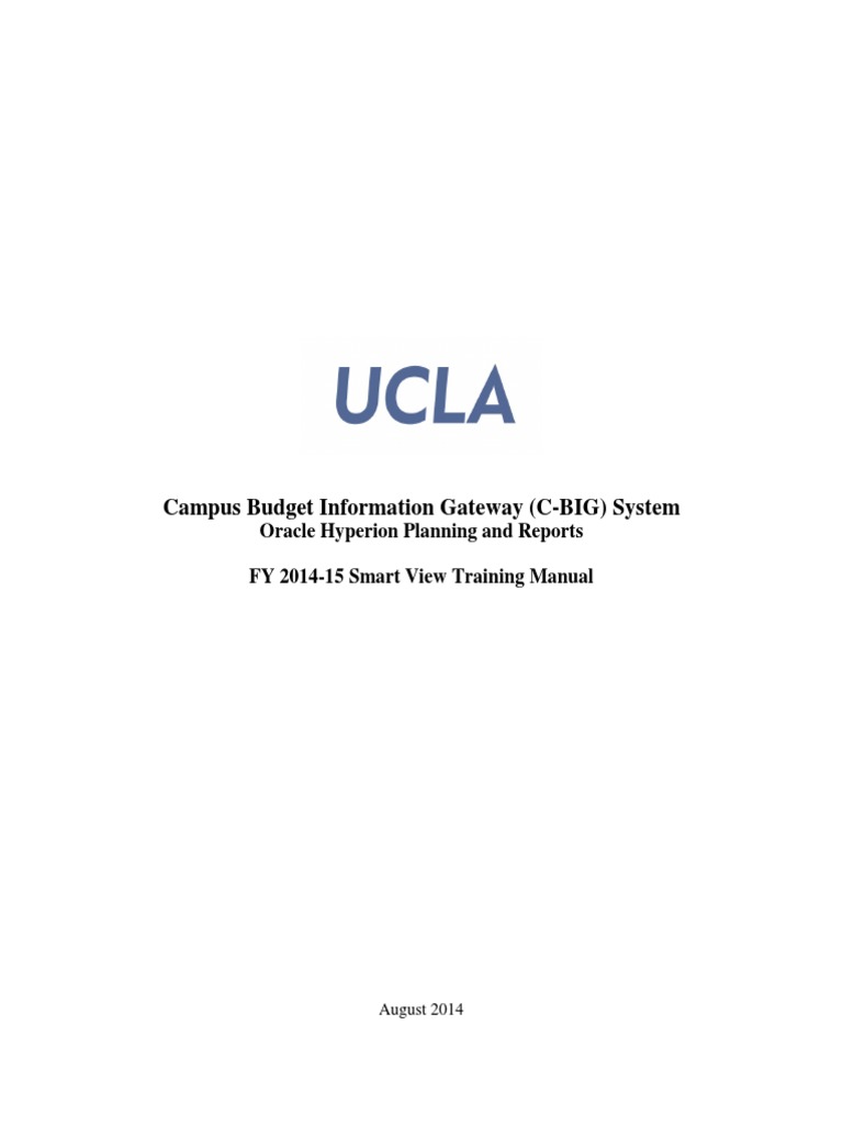 C-BIG Smart View Training Manual | PDF | Microsoft Excel | Spreadsheet