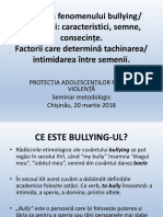 Bullying în instituție de învățământ2