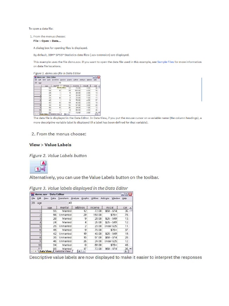 Spss guidelines pdf microsoft word level of measurement