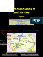 DR LAFAURIE Fluoroquinolones Et Aminosides 2014