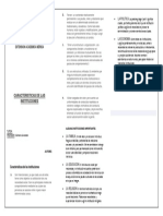 Diptico Caracteristicas de Las Instituciones