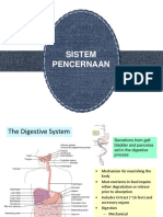 Biomedik10 - Sistem Pencernaan
