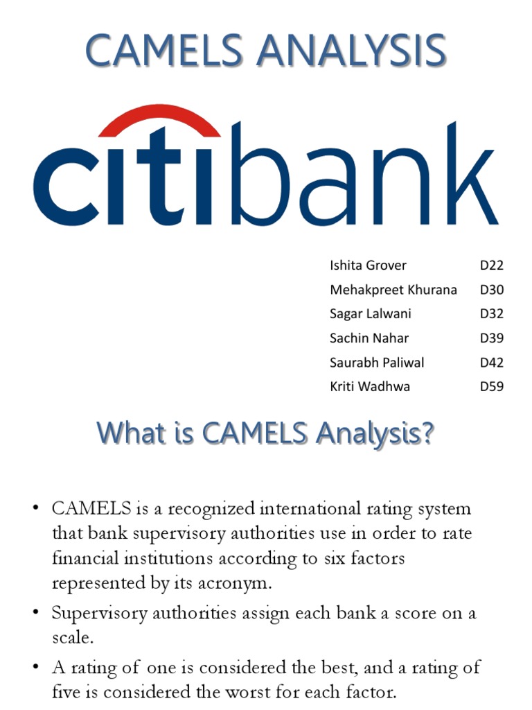 CAMELS Analysis OF CITI Bank PDF Financial Risk Citigroup