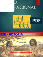 Historia Salud Ocupacional