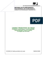 ES 2004-01 Cadeia Produtiva da Maca