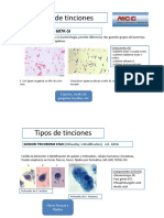 Tinciones MCC PDF