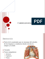 Generalidades cardioangiología