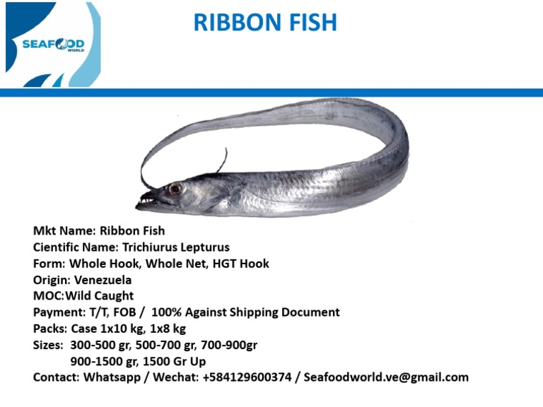 Ribbon Fish for Seafood Importers | PDF