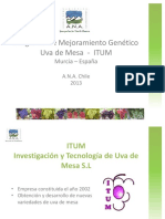 Presentacion PMG ITUM PDF