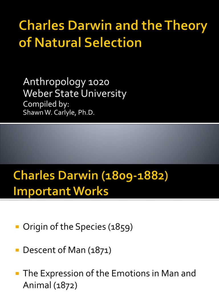 Darwin Evidence 2013 W 2 | PDF | Charles Darwin | Evolution