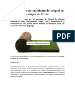 Manual de Mantenimiento de Césped en Campos de Fútbol