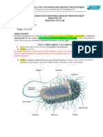 Biología Celular