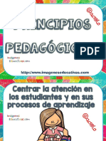 Principios Pedagógicos PDF