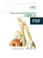 Estudio Cebolla