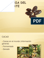 procesos del cacao.pptx