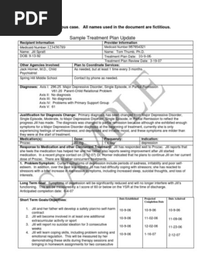 TREATMENT PLAN SAMPLE.pdf