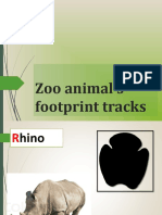 Zoo Animal's Footprint Tracks