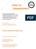 Module 2 Welfare Assessment and The Five Freedoms