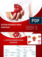 PPT_Sistem_ekskresi_SMA_lengkap.pptx