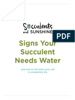 Signs Your Succulent Needs Water PDF