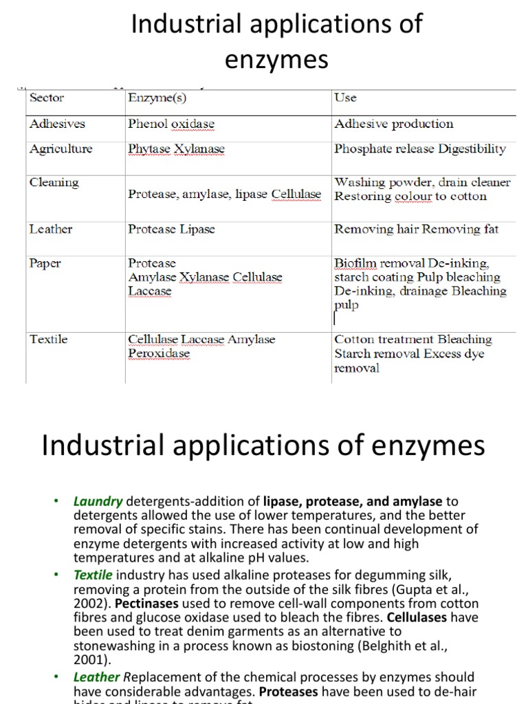 Industrial Enzyme Applications Overview | PDF | Science & Mathematics