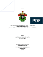 Skripsilengkap Pidana Amrullahumasugimara PDF