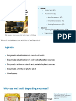 FEDNA 2017 NR Pedersen - Actividad Enzimática Por Microscopía PDF