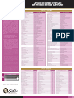 Cursos Sustitutos y Dirigidos PDF
