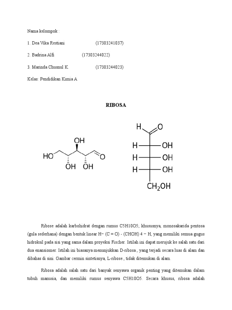 Fungsi dan Risiko Ribosa dalam Metabolisme | PDF | Sains & Matematika