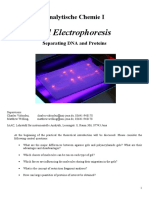 Gel Electrophoresis: Separating DNA and Proteins