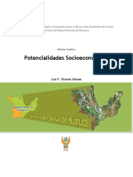 Potencialidades Socioeconomicas 060311 PDF