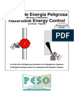 programa de energia peligrosa.pdf