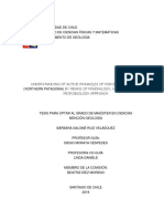 Understanding of Active Pinnacles of Porcelana Geysers PDF