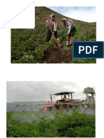 La Agricultura en La Costa Peruana