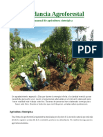 Abundancia Agroforestal Sintropica