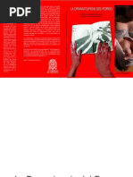 41MNT Catálogo | PDF | México | Teatro