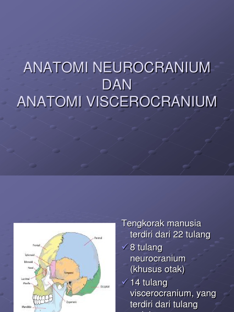 Anatomi Neurocranium Dan Anatomi Viscerocranium | PDF