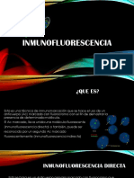 Exposicion Inmunofluorescencia