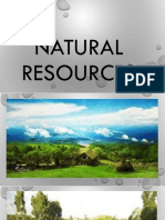 NATURAL RESOURCES.pptx