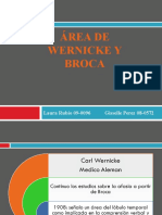 Área de Wernicke y Broca